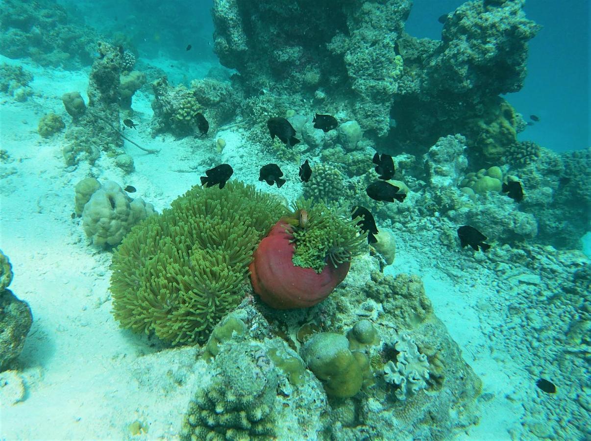 Hotel One The Island Naifaru Exterior foto