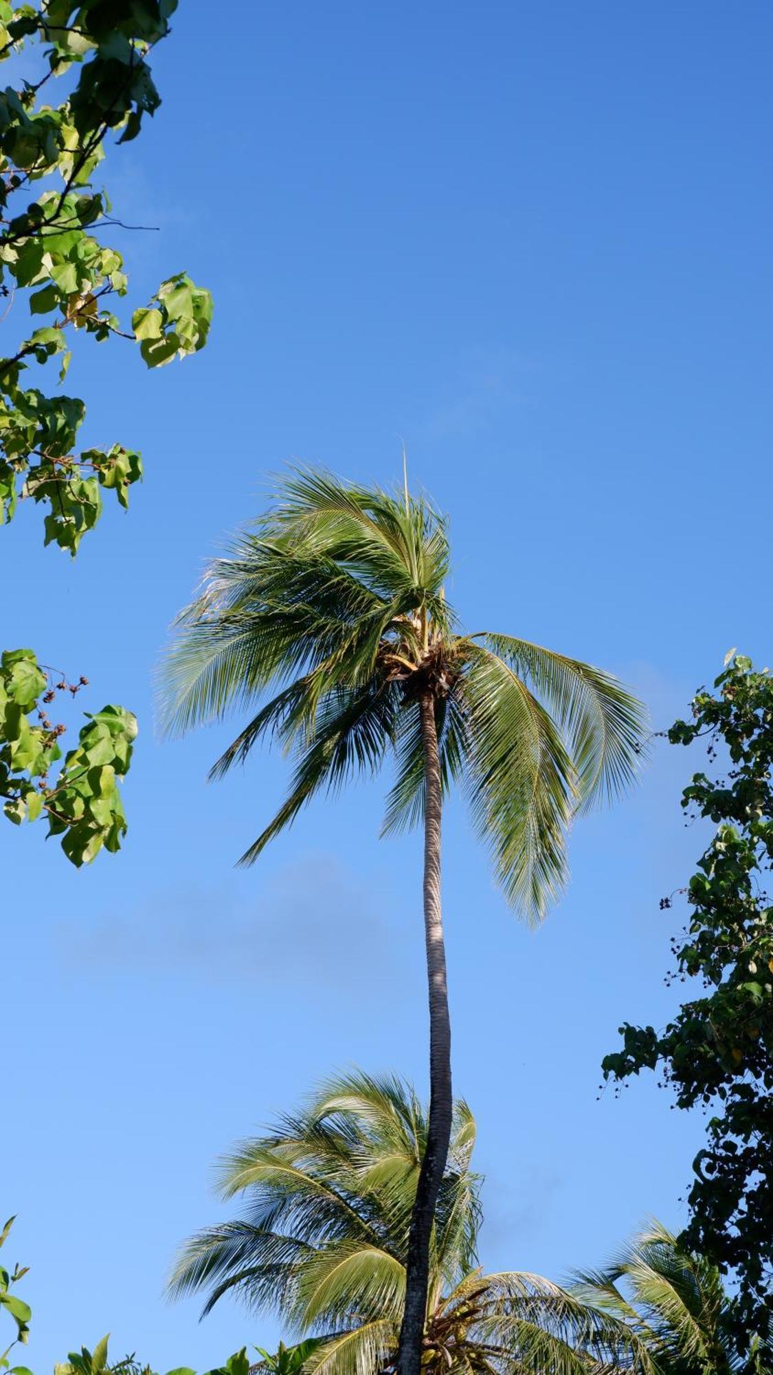 Hotel One The Island Naifaru Exterior foto